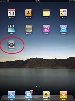 apn settings ipad