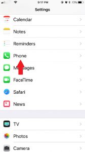 Click On Phone in Setting