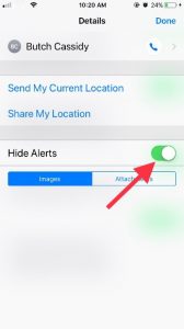 Enable the Hide Alerts