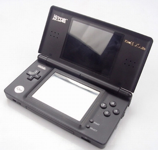 Nintendo DSL Accessories
