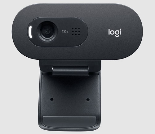 Logitech C505e Webcam 1280 x 720 pixels USB Black